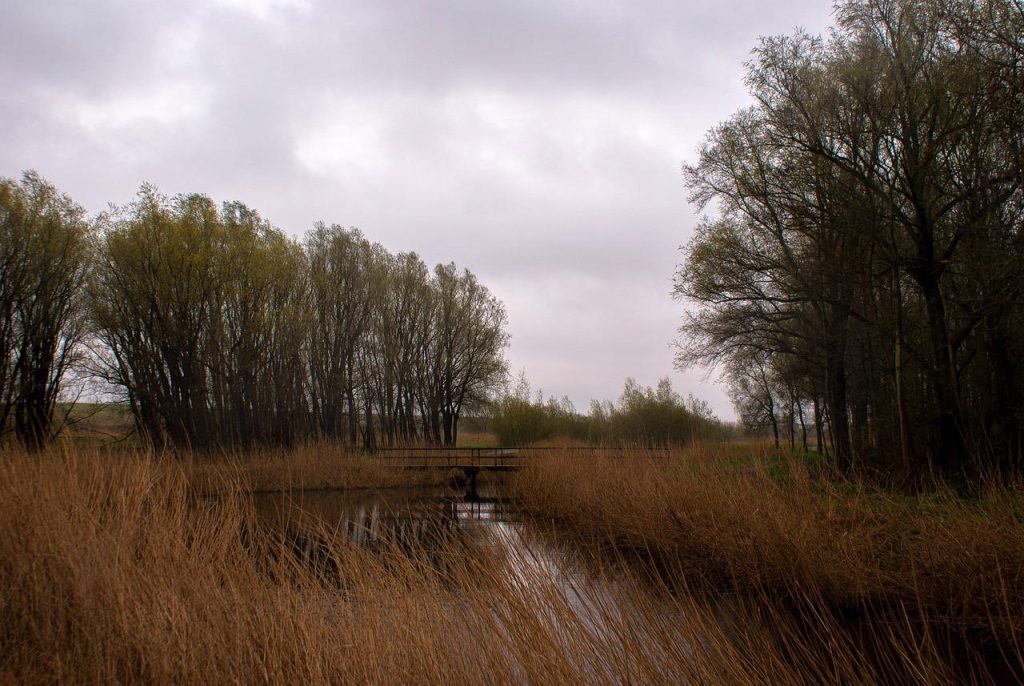 Schiedam's Charms Unveiled: historische windmolens, grachten en karakteristieke architectuur van deze Nederlandse stad